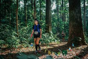 BIB: 
                            <button type="button" onclick="openModal(26129989)" class="btn btn-primary btn-sm float-right btn-popup" data-toggle="modal" data-target=".modal-high-quality">
                        <i class="fas fa-shopping-cart"></i> Add to Cart
                    </button>
                                            <button type="button" onclick="isThisMe(26129989, true)" class="btn btn-success btn-sm float-right btn-popup btn-isme hidden" data-toggle="tooltip" data-placement="bottom" title="นี่คือรูปของคุณใช่ไหม คลิกที่นี่เพื่อเอาเข้าอัลบั้ม">
                        <i class="fas fa-plus"></i> Add to album
                    </button>
                    <button type="button" onclick="isThisMe(26129989, false)" class="btn btn-warning btn-sm float-right btn-popup btn-isnotme hidden">
                        <i class="fas fa-ban"></i> Remove from album
                    </button>